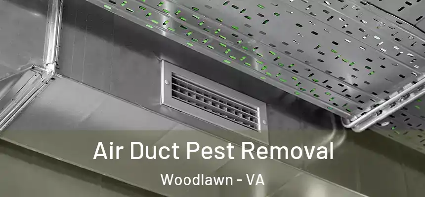  Air Duct Pest Removal Woodlawn - VA