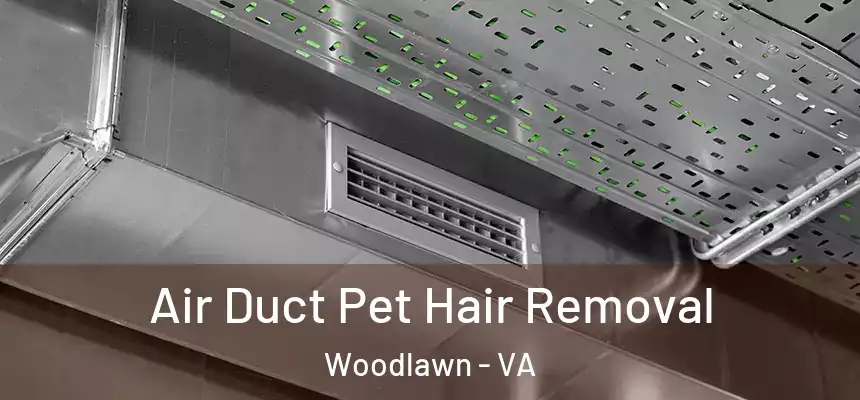 Air Duct Pet Hair Removal Woodlawn - VA