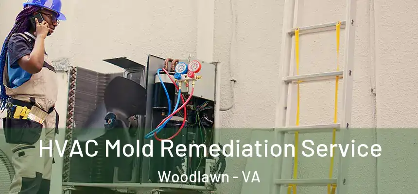  HVAC Mold Remediation Service Woodlawn - VA