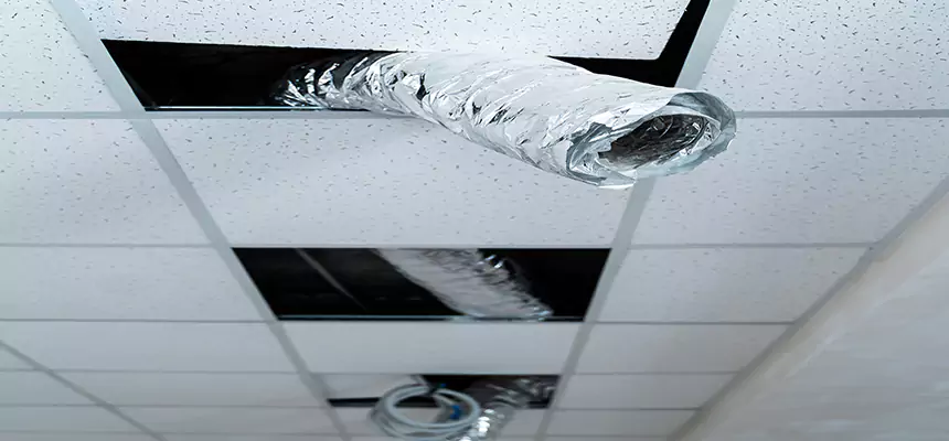 Our Air Duct Pet Hair Removal Services in Woodlawn, VA