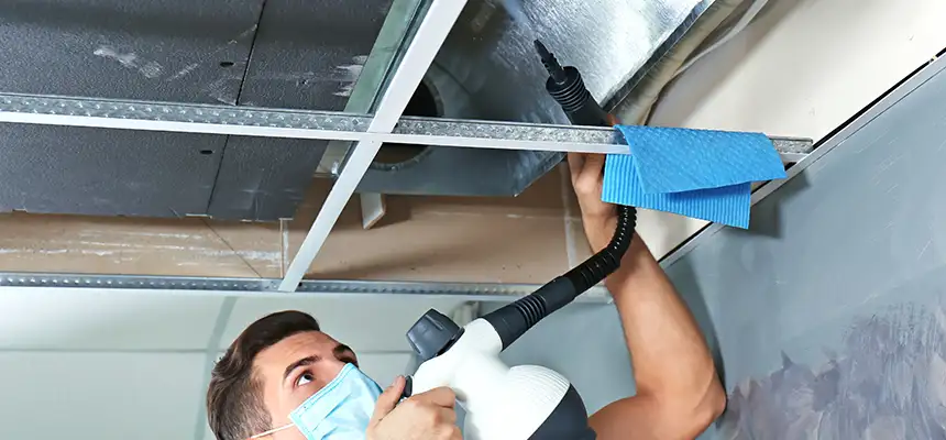 Our Air Duct Rodent Removal Services in Woodlawn, VA