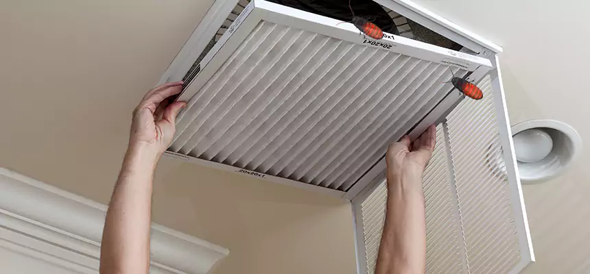 Our Insect Removal from Air Ducts Services in Woodlawn, VA