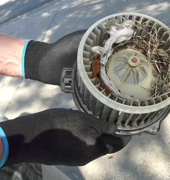 About Air Duct Mice Removal in Woodlawn, VA