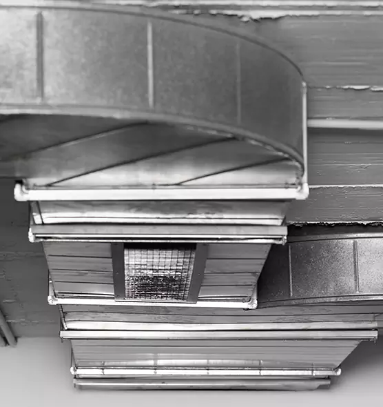 Professional Air Duct Pet Hair Removal in Woodlawn, VA