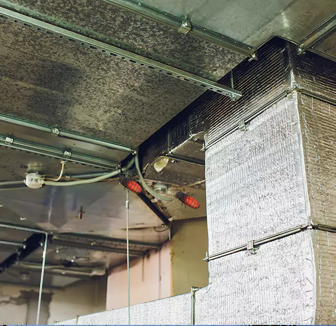 Why Homeowners & Businesses Trust Us in Woodlawn, VA?