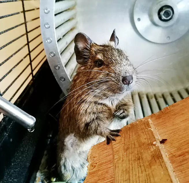 Why Homeowners & Businesses Trust Us Woodlawn, VA?