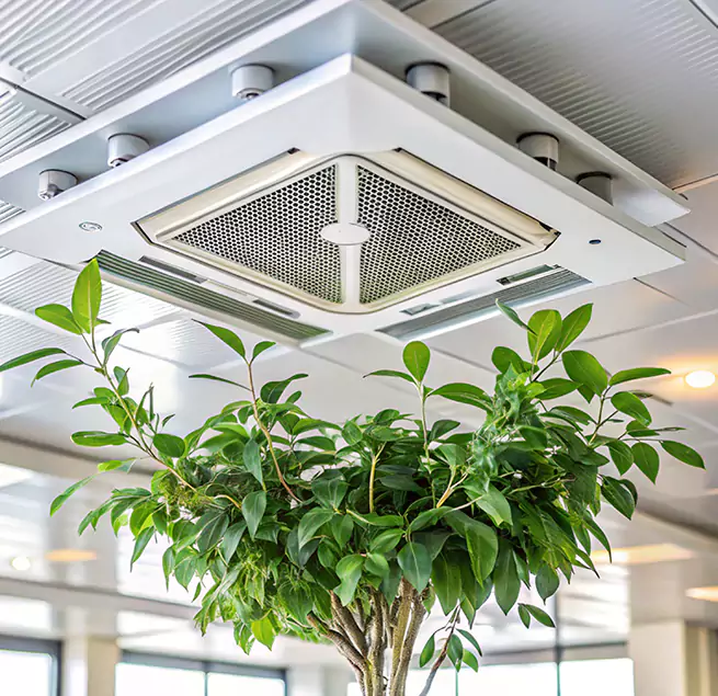 Why Homeowners & Businesses Trust Us in Woodlawn, VA?